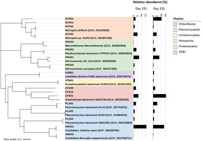 Genome-centered metagenomics illuminates adaptations of core members to a partial Nitritation–Anammox bioreactor under periodic microaeration